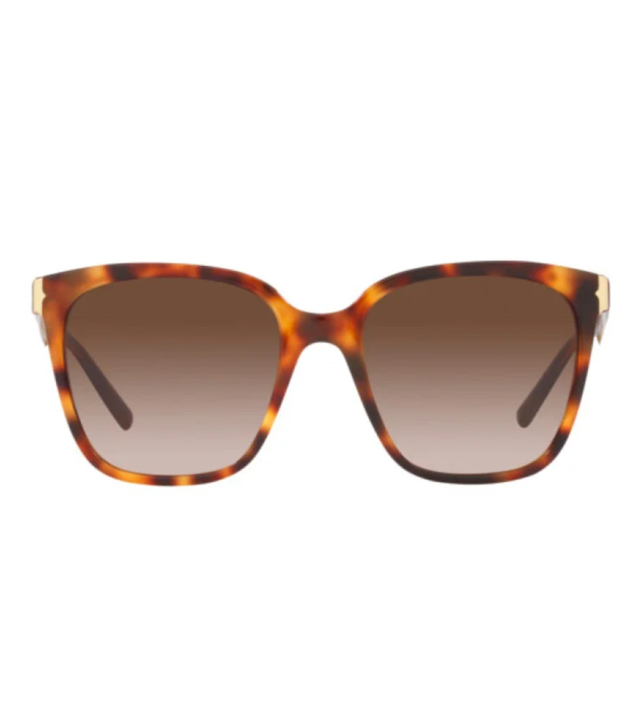 Bvlgari-zoom-1