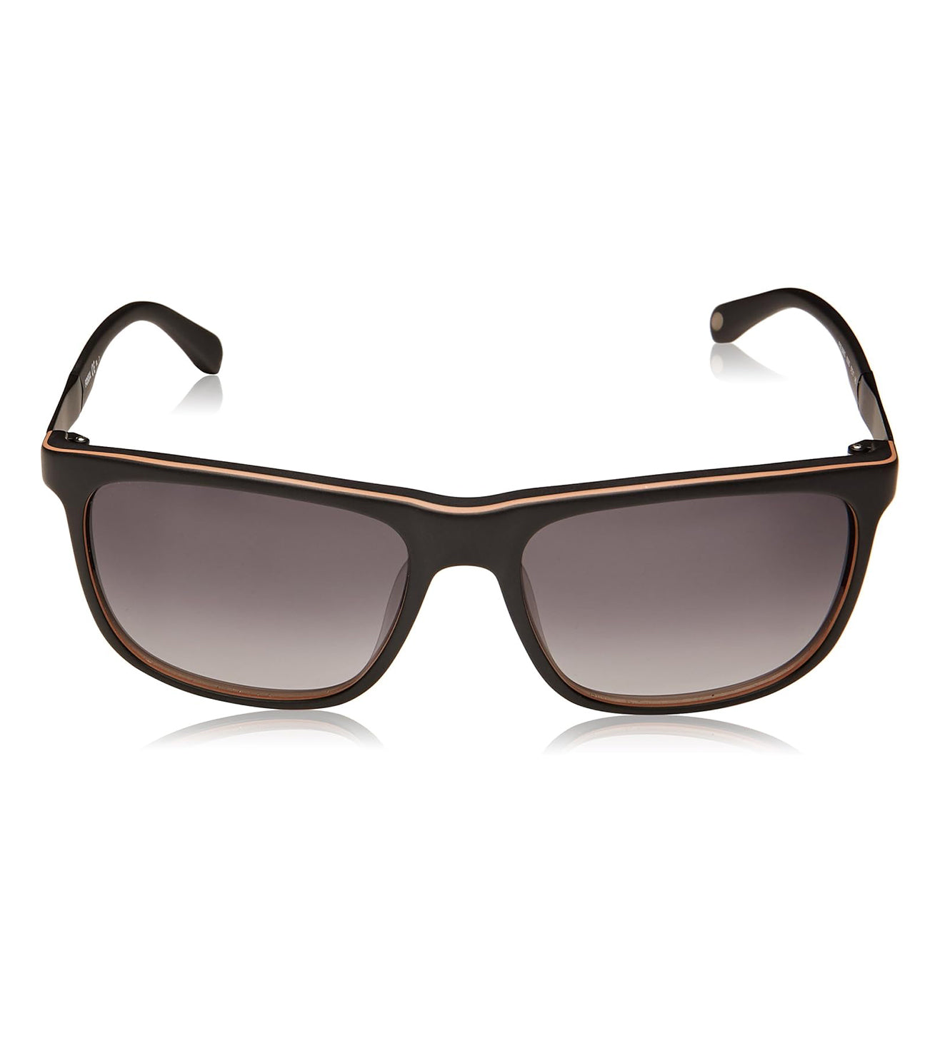 Fossil-zoom-1