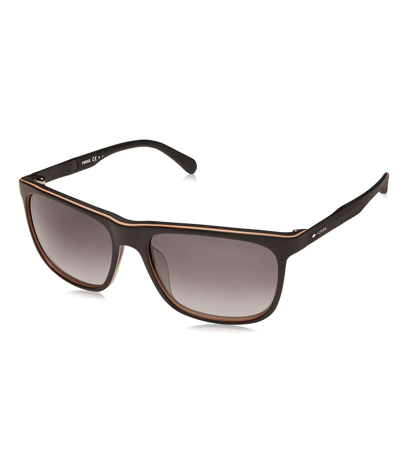 Fossil-zoom-2