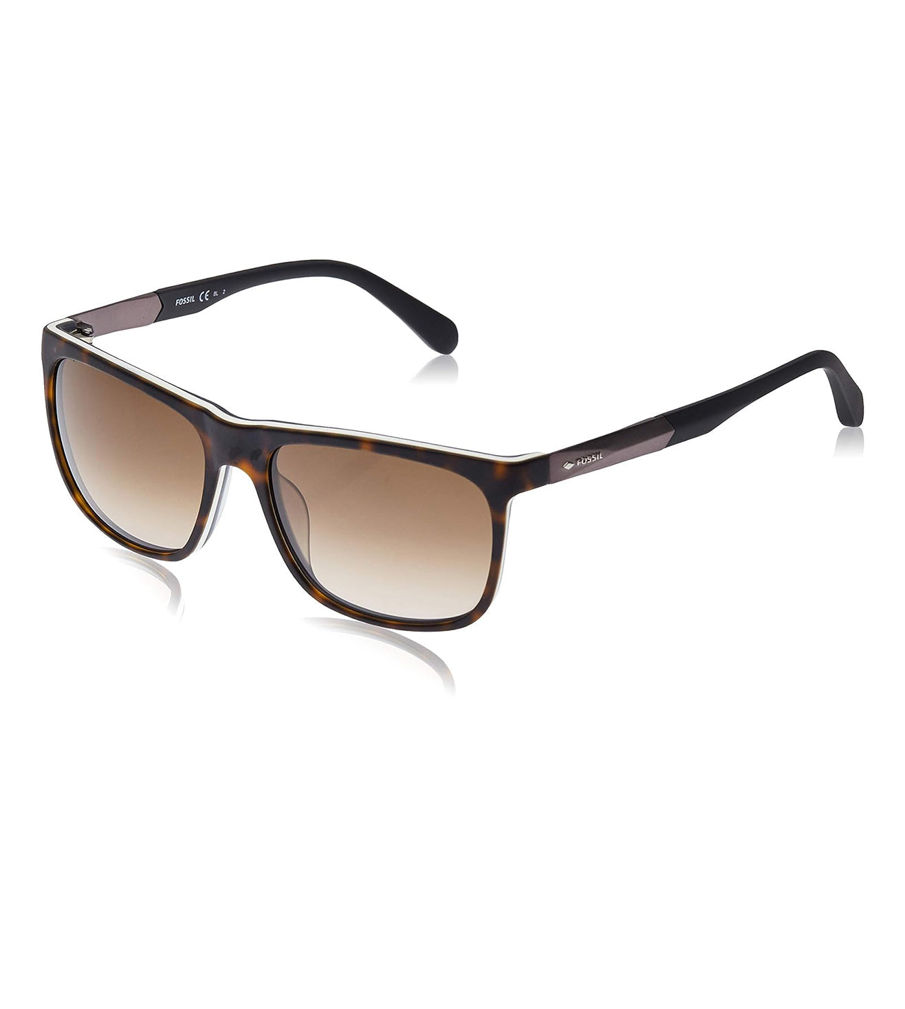 Fossil-zoom-2