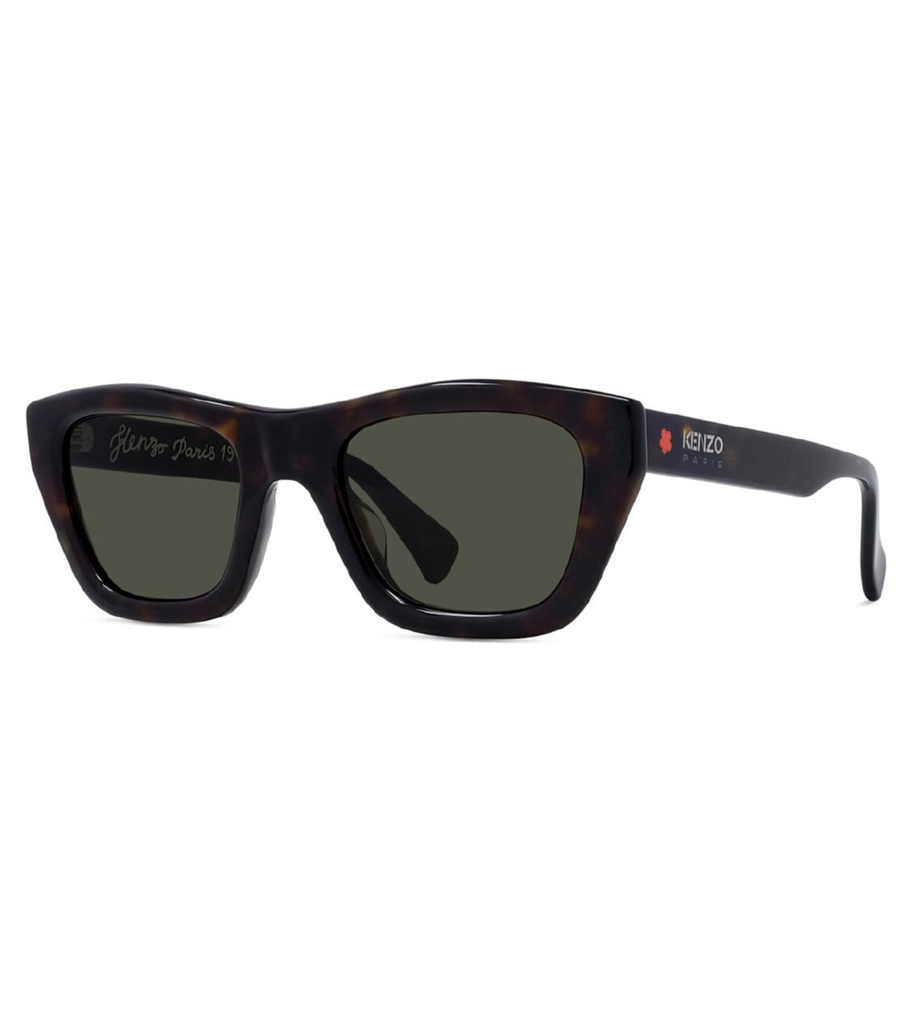 Kenzo-zoom-2