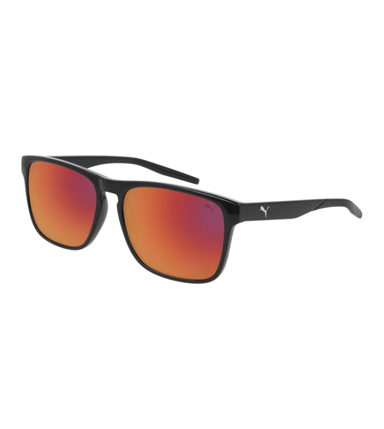 Puma-zoom-1