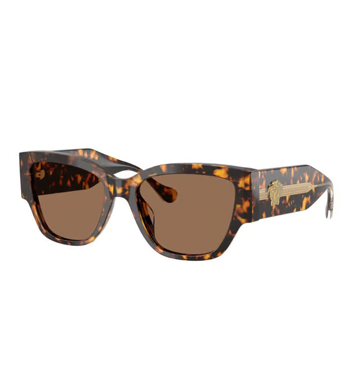 Versace Women's Brown Cat Eye Sunglasses - 0VE4509U55147355