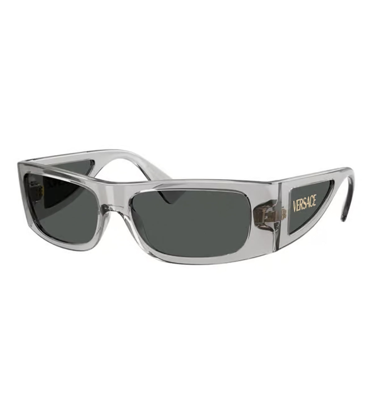 Versace Men's Grey Square Sunglasses - 0VE448253058757