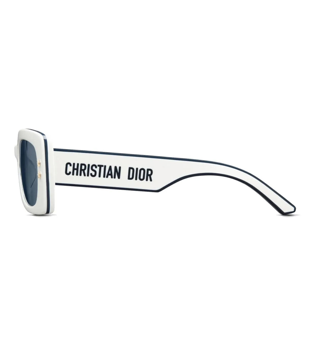 Dior CD40098U 53 95B0 Women's Blue Rectangular Sunglasses alternate view