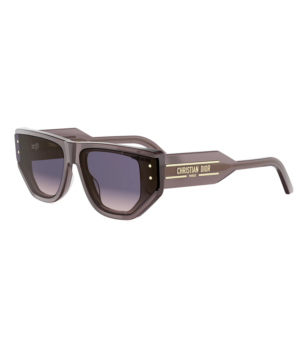 Dior CD40207I 64 45GL Women's Purple Cat Eye Sunglasses alternate view