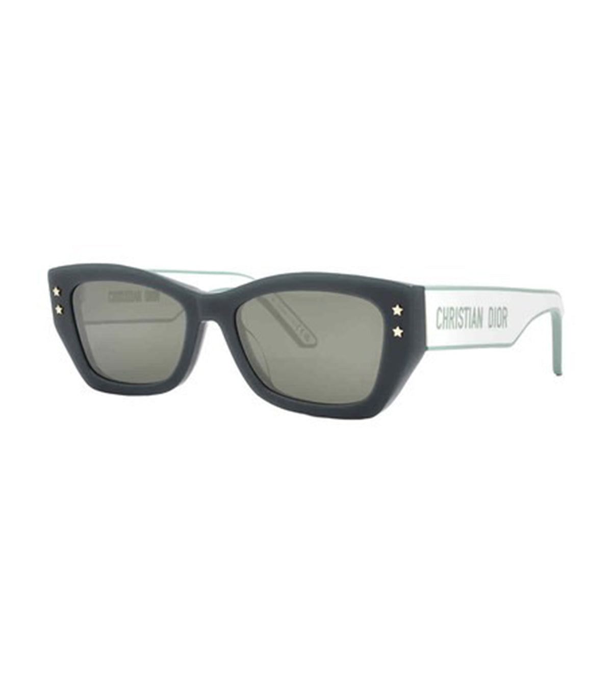 Dior CD40113U 53 55A7 Women's Brown Cat Eye Sunglasses alternate view